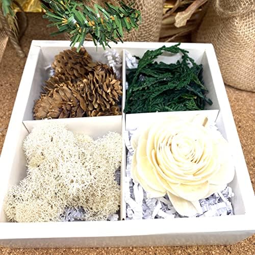Sunsum Temperate Forest Dried Flowers Terrarium Kit