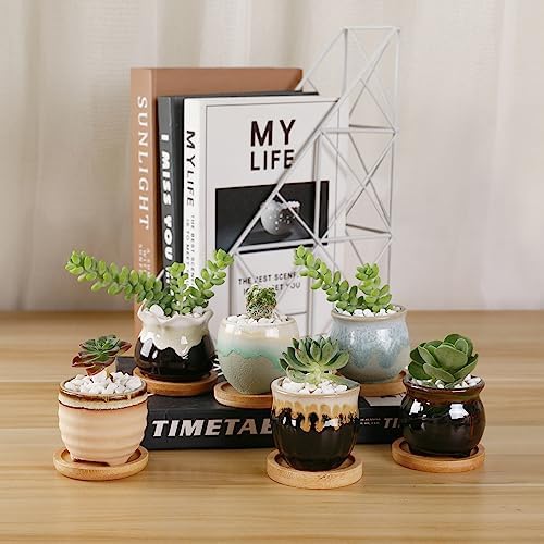 T4U Mini Ceramic Succulent Pots Set of 6