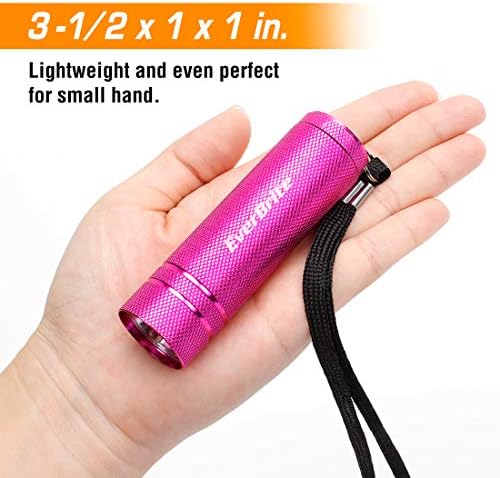 EverBrite 30-Pack Mini Flashlight Set with Lanyard and Batteries