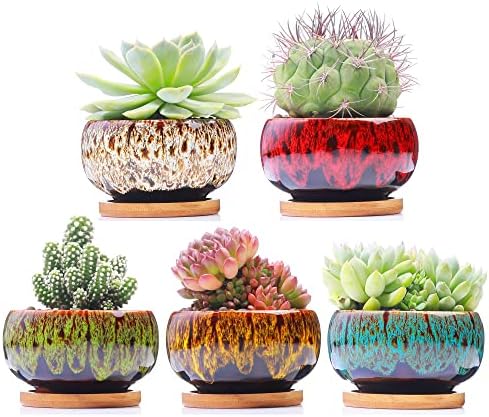 LamDawn Cute Ceramic Succulent Pots Set of 5