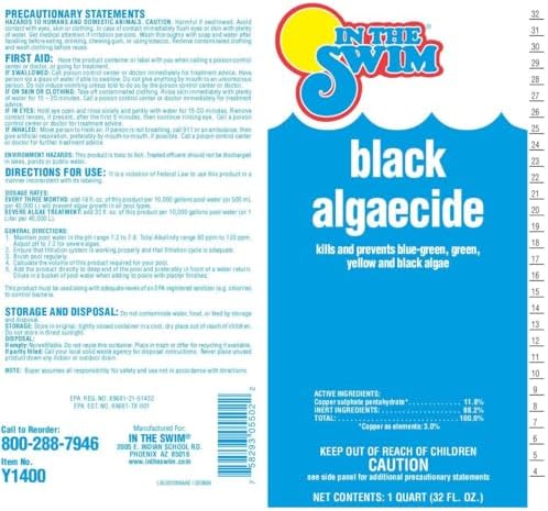 In The Swim Black Algaecide 1 Quart 2 Pack