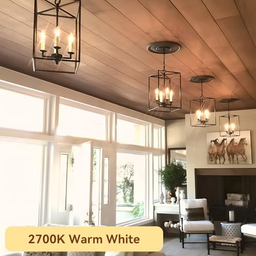 TJOY Dimmable LED Candelabra Bulbs 12Pack E12 Base
