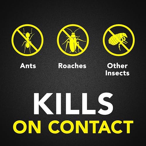 Raid Ant Roach Killer 26 Oz 2 Count