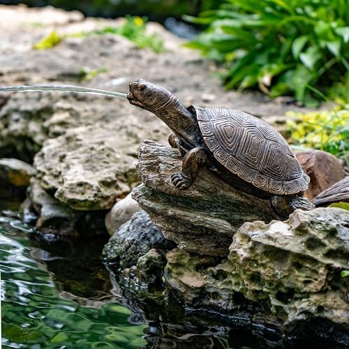 Aquascape Turtle On Log Spitter Fountain