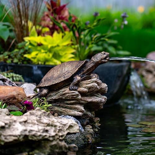 Aquascape Turtle On Log Spitter Fountain