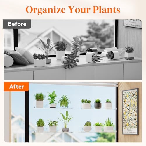 Lifewit 3 Pack Window Floating Shelves 15x4 Inch Acrylic Suction Cup