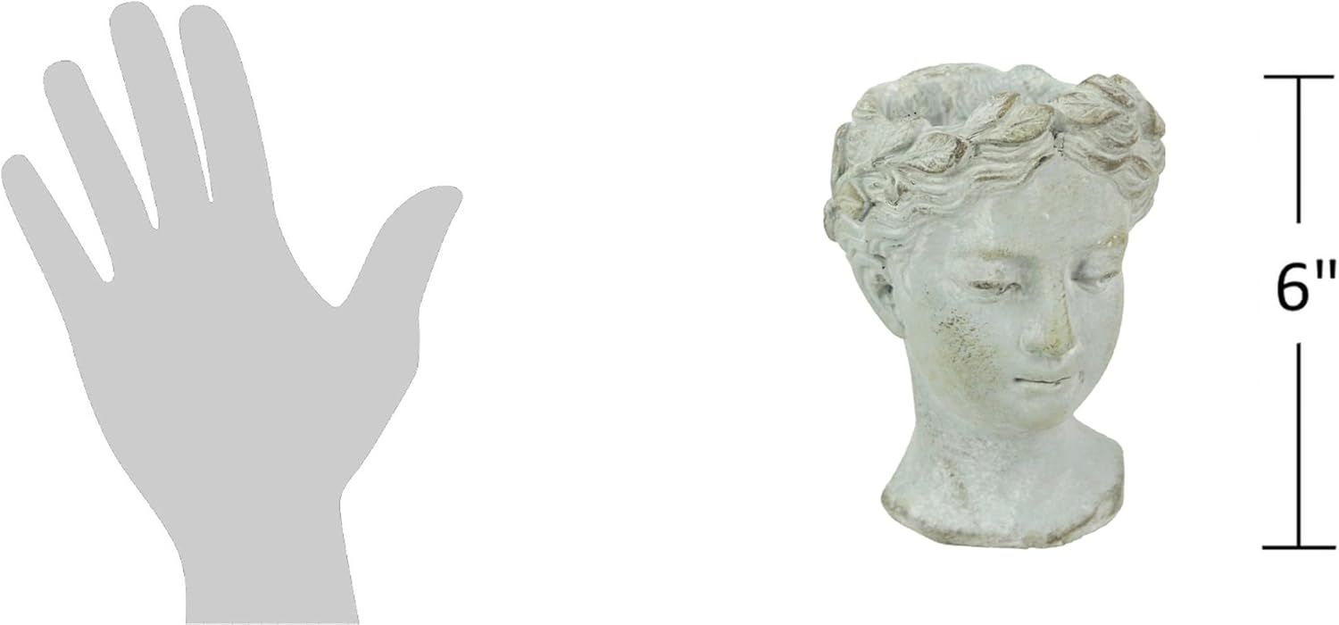 Distinctive Designs Greek Roman Style Female Head Statue Planter - Small Cement Wall Mount Decor for Indoor Outdoor Use