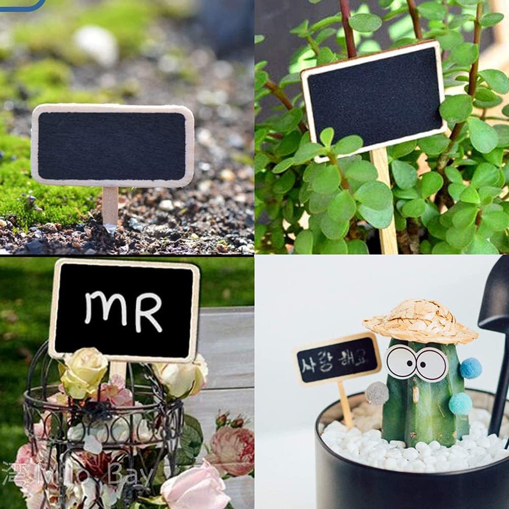 20pcs Mini Wood Chalkboard Plant Tags for Garden Decor Plant Labeling