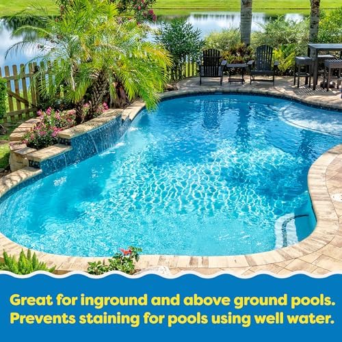 In The Swim Algaecide for Pools - 10 Quaternary Compound - 1 Quart