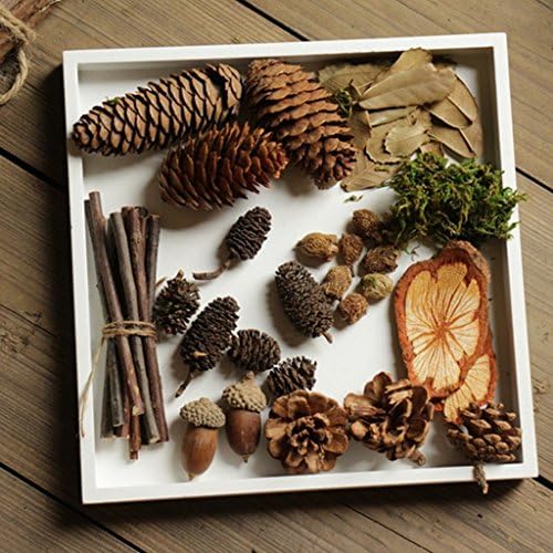 40 Pack Rustic Natural Dried Acorns Pine Cones Ornaments