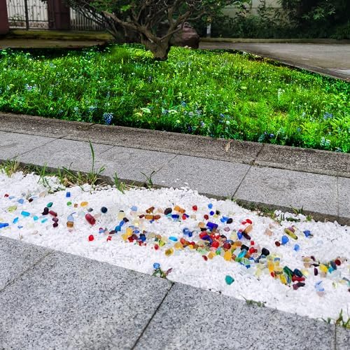HappyFiller Decorative White Gravel for Plants and Aquariums