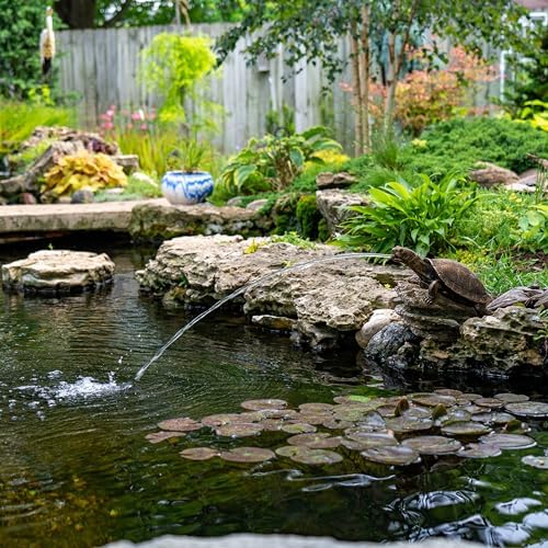 Aquascape Turtle On Log Spitter Fountain