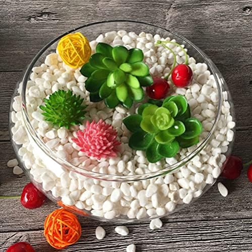 Alipis Round Glass Fish Bowl - 787 x 98 Decorative Terrarium Vase for Succulents Air Plants and Candles
