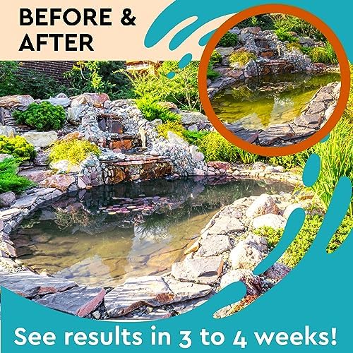 PondBliss Algaecide for Fountains 8 oz