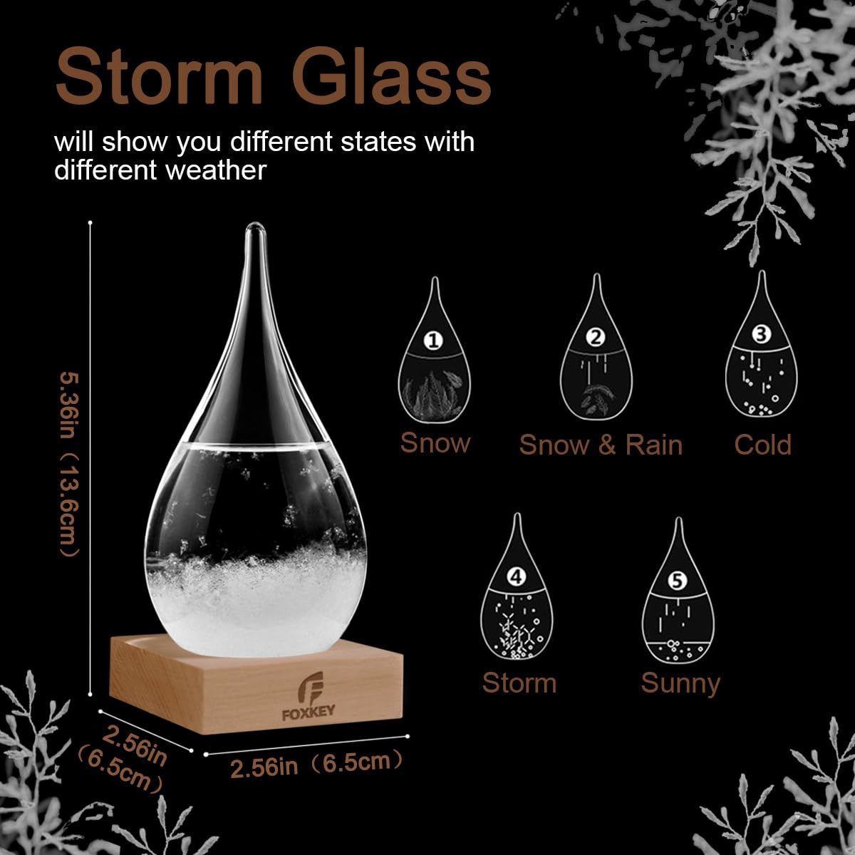 FOXKEY Storm Glass Weather Predictor Unique Drop-Shaped Weather Forecast Decor
