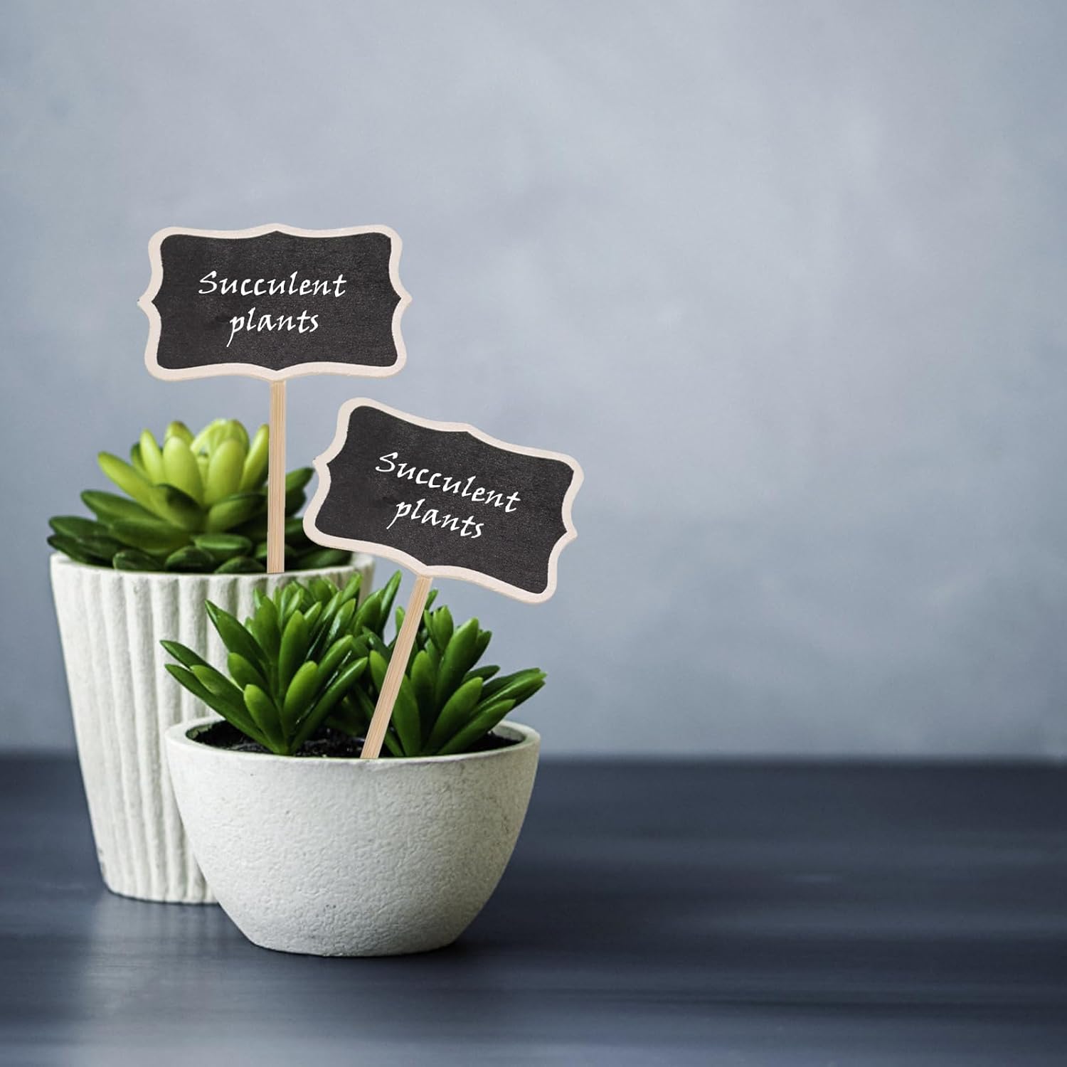 20PCS Wood Chalkboard Plant Tags for Garden and Lawn