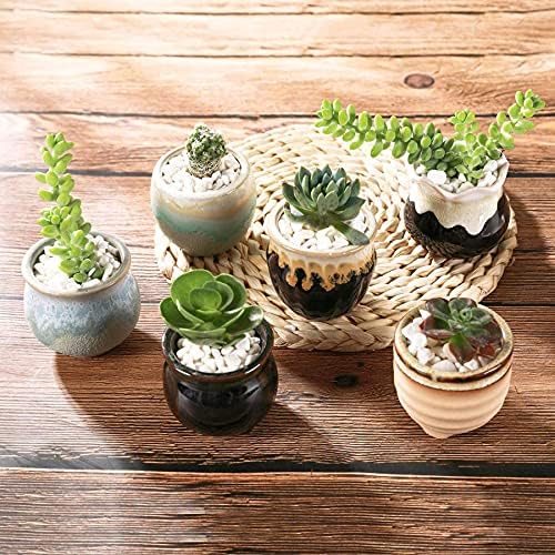 T4U Mini Ceramic Succulent Pots Set of 6