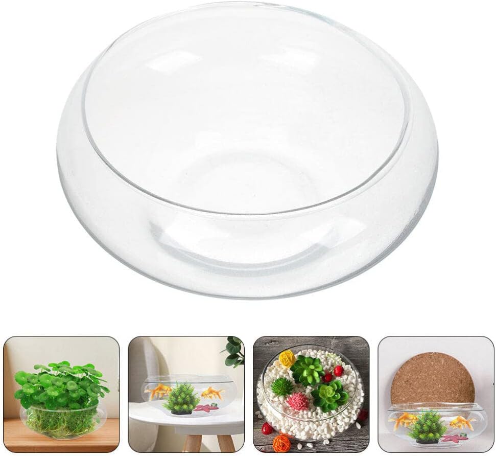 Alipis Round Glass Fish Bowl - 787 x 98 Decorative Terrarium Vase for Succulents Air Plants and Candles