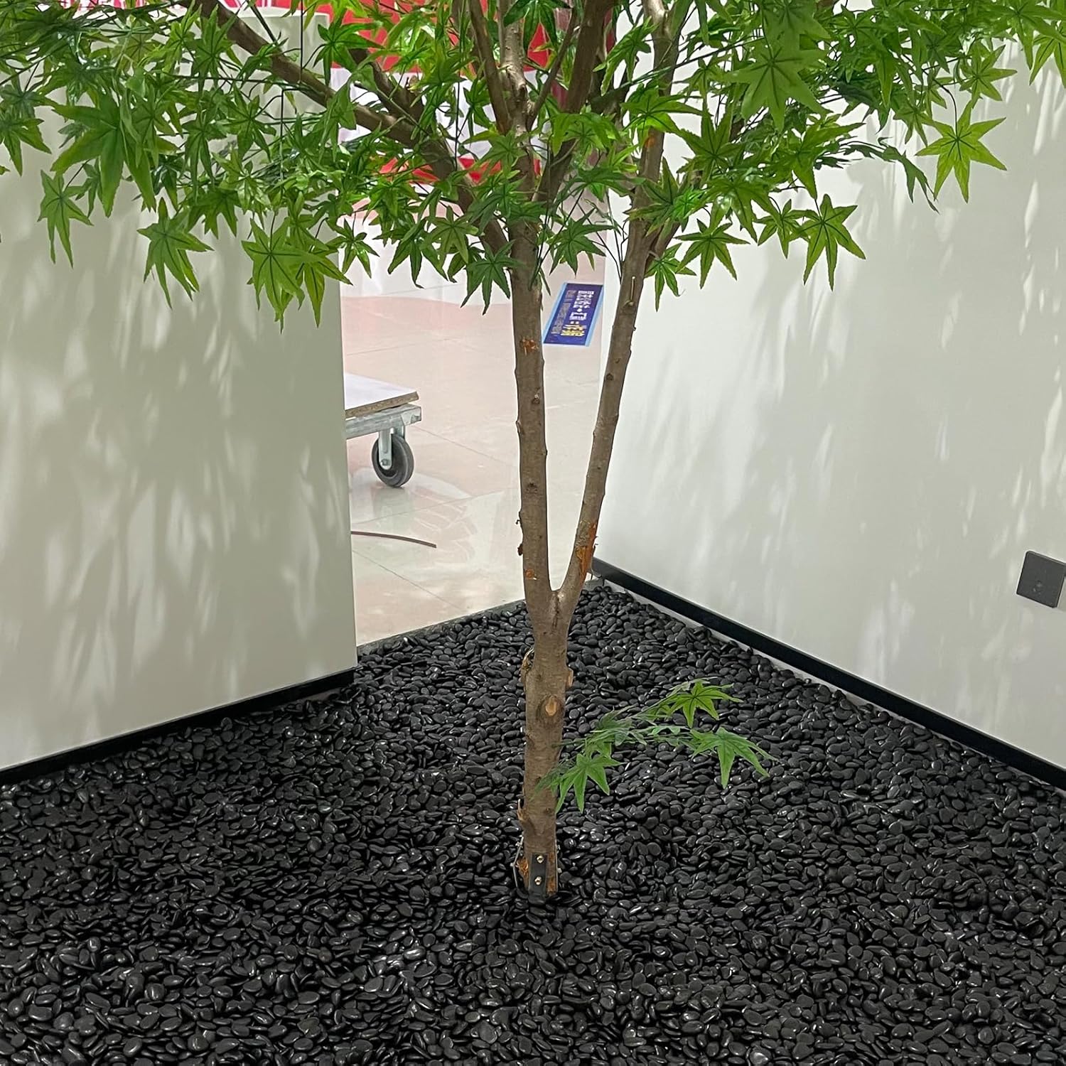 10 Pounds Natural Black Pebbles for Garden and Outdoor Decor