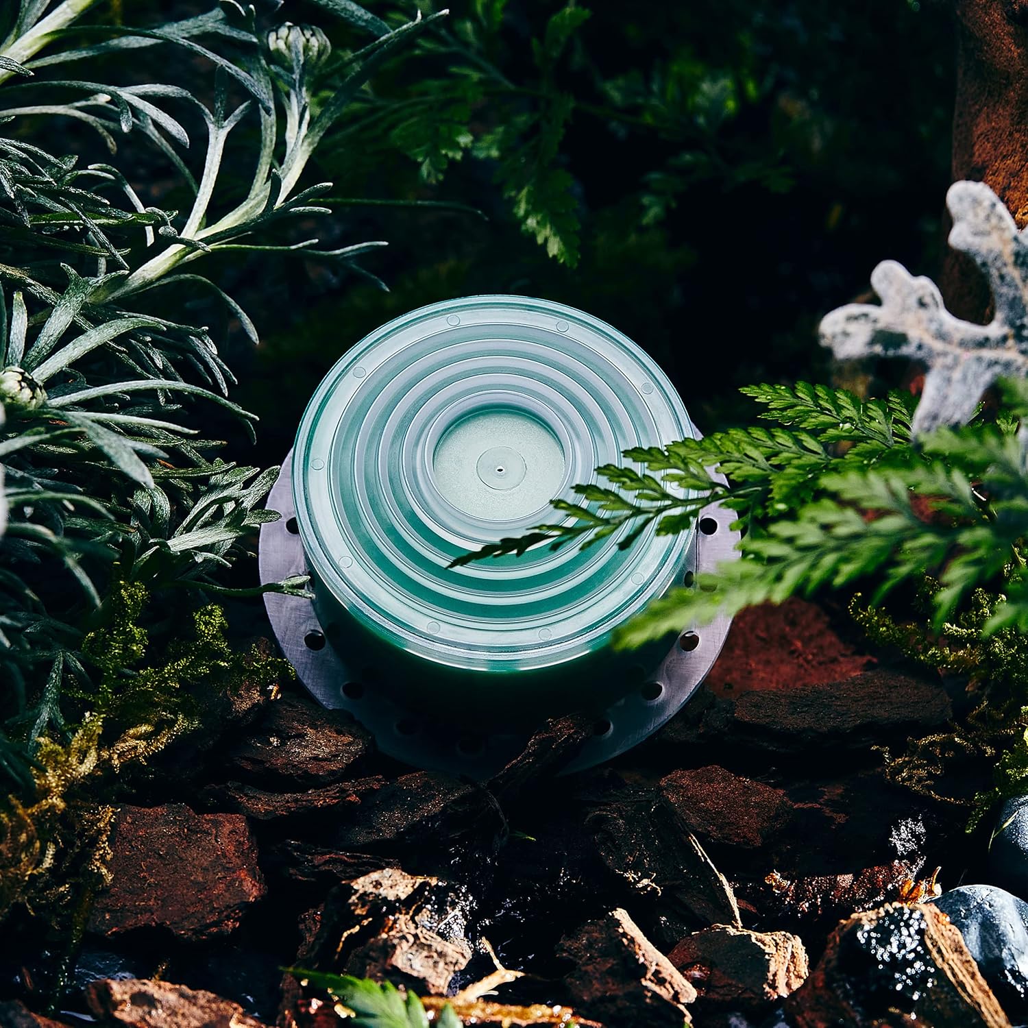 Bodyluv Vita Pure Filter for Vita Puresome Shower Head